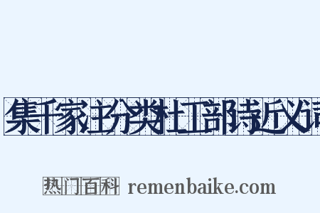 集千家注分类杜工部诗近义词是什么意思的图片